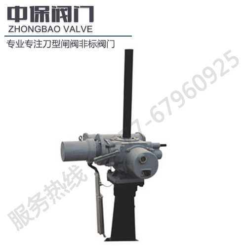 手電動兩用啟閉機(jī)QD